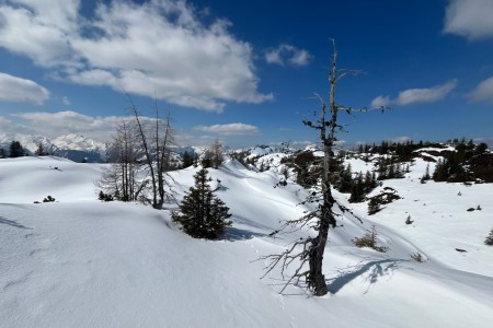 Schneeschuhwanderung mit Toni sen.