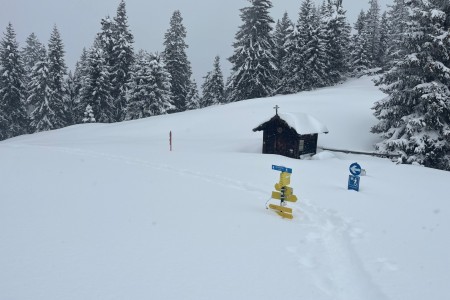 Schneeschuhwanderung mit Toni sen.