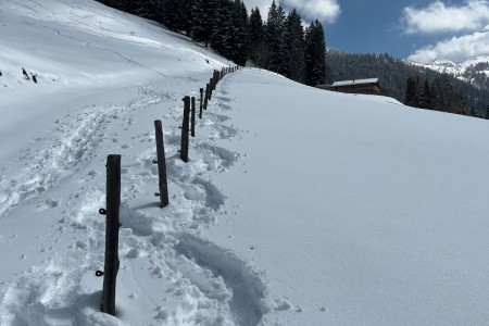 Karfreitag-Schneeschuhwanderung mit netten Stammg&auml;sten