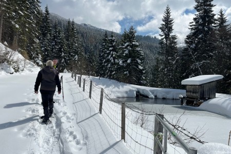 Karfreitag-Schneeschuhwanderung mit netten Stammg&auml;sten