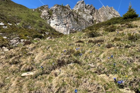 Wanderung mit Toni Senior zum Schuhflicker