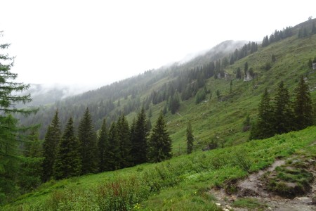 Wanderung mit Dominik zur Loosb&uuml;helalm
