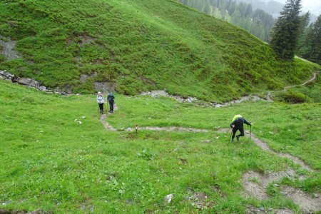 Wanderung mit Dominik zur Loosb&uuml;helalm