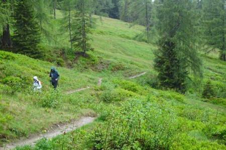 Wanderung mit Dominik zur Loosb&uuml;helalm