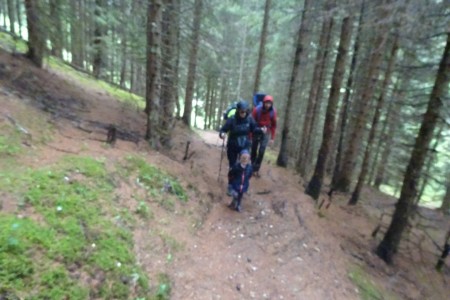 Wanderung mit Dominik zur Loosb&uuml;helalm