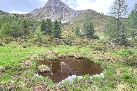 Wanderung mit Toni sen. im Gebiet der Filzmoosalm