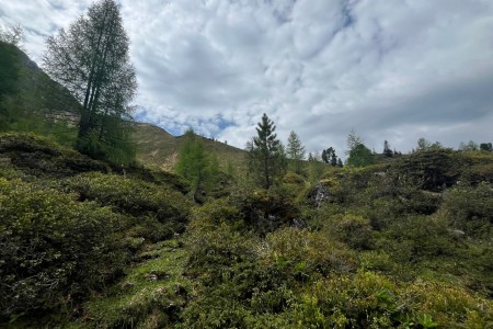 Wanderung mit Toni sen. im Gebiet der Filzmoosalm