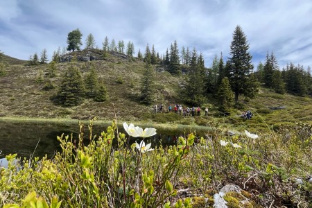 Wanderung mit Toni sen. zu den Spatlaken