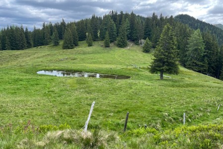 E-Bike Tour mit Toni sen. zur Bichlalm