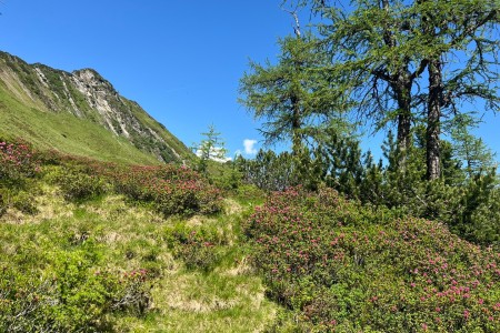 Wanderung mit Toni sen. zum Laagangk&ouml;pferl