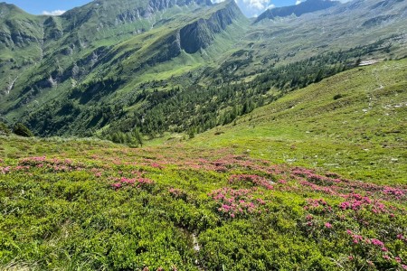 Wanderung mit Toni sen. zum Laagangk&ouml;pferl