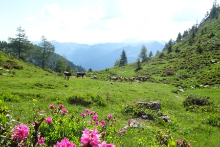 Wanderung mit Maria zum Schuhflicker