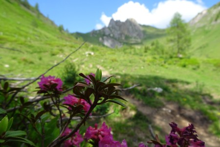 Wanderung mit Maria zum Schuhflicker
