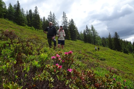Wanderung mit Maria zur Karseggalm