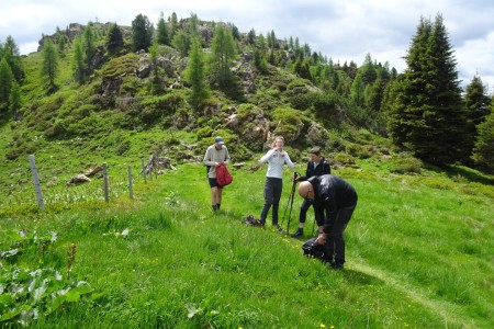 Wanderung mit Maria zur Karseggalm