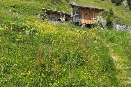 Wanderung mit Toni sen. zum Gro&szlig;arler-Sinnesweg