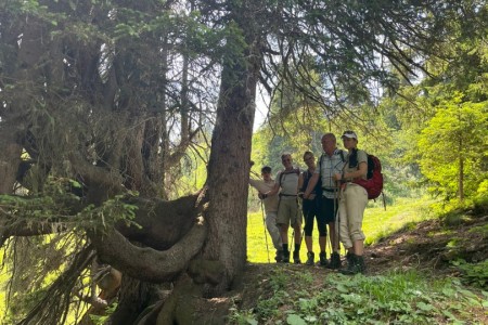 Wanderung mit Toni sen. zum Gro&szlig;arler-Sinnesweg