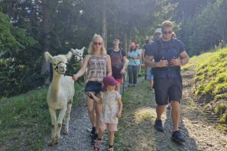 Alpakawanderung mit Karin