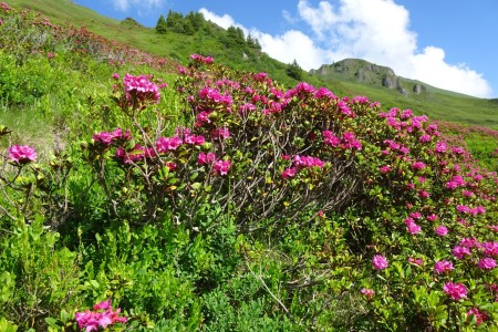 Wanderung mit Maria sen. zum Gamskarkogel