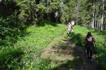 Wanderung mit Dominik zur Ellmaualm