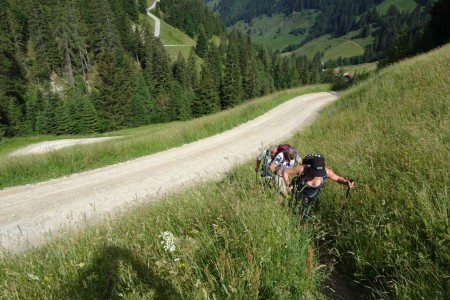 Wanderung mit Dominik zur Ellmaualm
