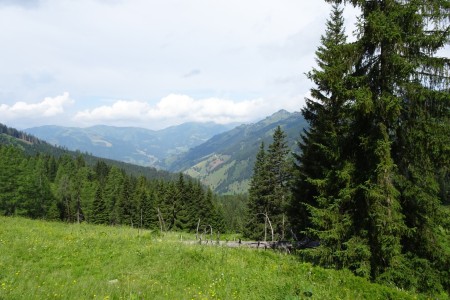 Wanderung mit Dominik zur Ellmaualm