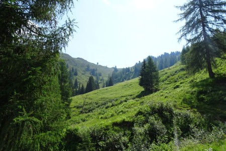 Wanderung mit Dominik zur Ellmaualm