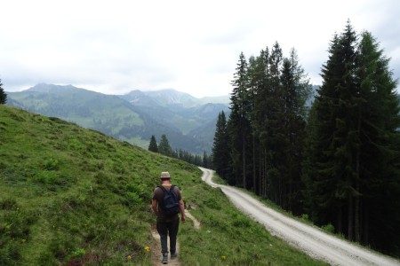 Wanderung mit Dominik zur Ellmaualm