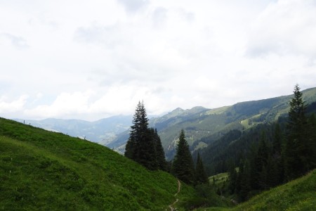 Wanderung mit Dominik zur Ellmaualm