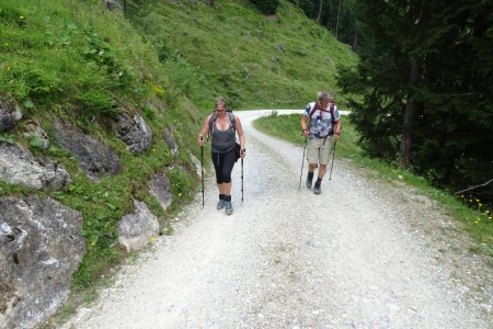Wanderung mit Dominik zur Ellmaualm