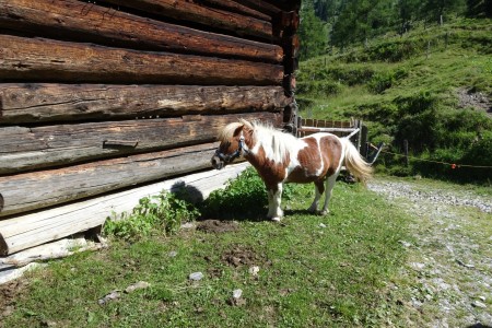 Wanderung mit Maria zur Gro&szlig;wildalm
