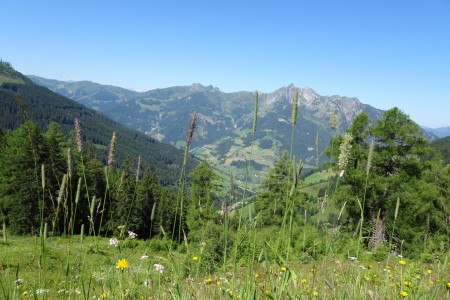 Wanderung mit Maria zur Gro&szlig;wildalm
