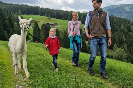 Alpakawanderung mit Karin