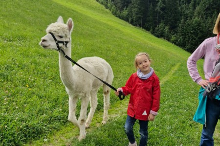 Alpakawanderung mit Karin