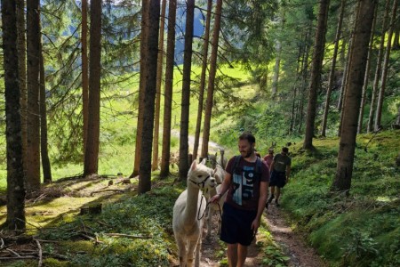 Alpakawanderung mit Karin