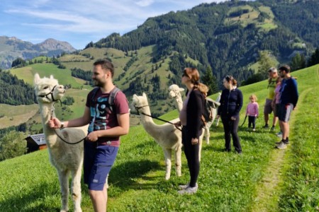 Alpakawanderung mit Karin