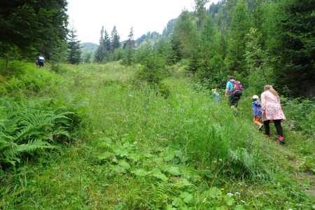 Wanderung mit Maria zur Hirschgrubenalm