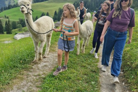Alpakawanderung mit Karin