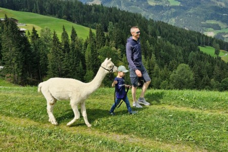 Alpakawanderung mit Karin