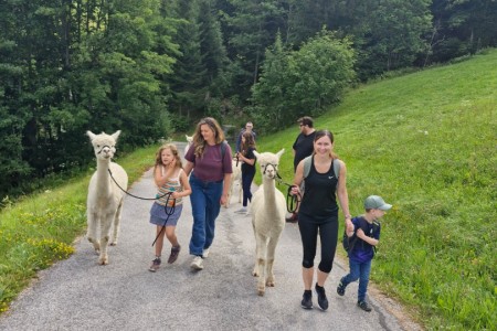 Alpakawanderung mit Karin