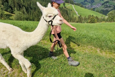Alpakawanderung mit Karin