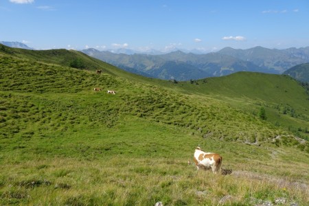 Wanderung mit Maria