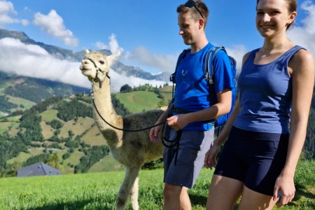 Alpakawanderung mit Karin