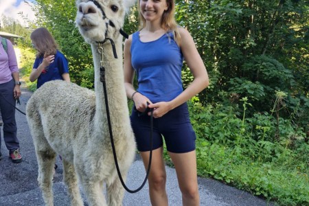 Alpakawanderung mit Karin