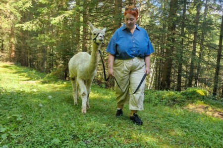 Alpakawanderung mit Karin