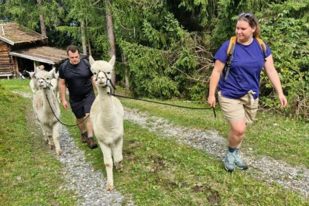 Alpaka Wanderung mit Karin