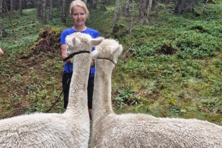 Alpaka Wanderung mit Karin
