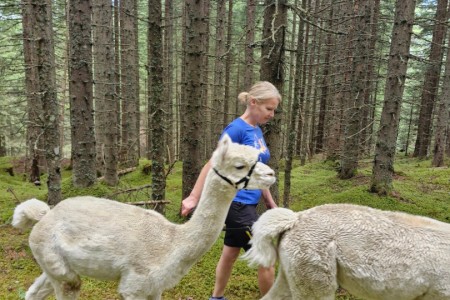 Alpaka Wanderung mit Karin