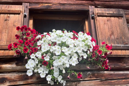 Wanderung mit Toni Senior im Niggeltal