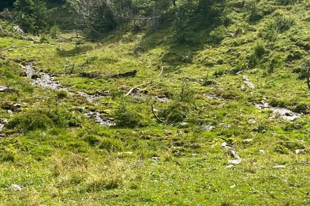 Wanderung mit Toni Senior im Niggeltal